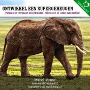 Ontwikkel een supergeheugen