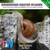 Hindernissen creatief oplossen