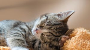 Fantasie orgasme voor vrouwen: geniet zonder aanraking