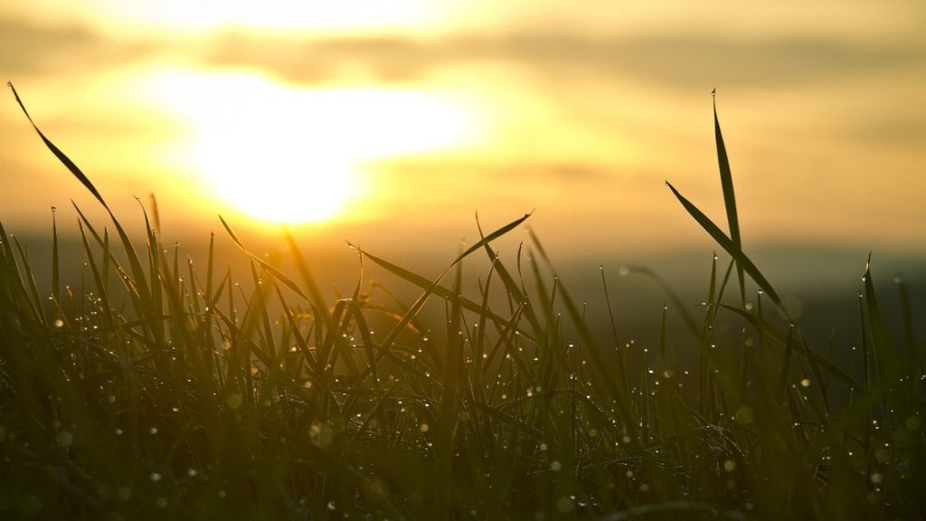 Vrouw die met een glimlach een nieuwe start omarmt en veranderingen accepteert in haar leven